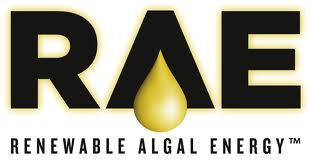 Renewable Algal Energy