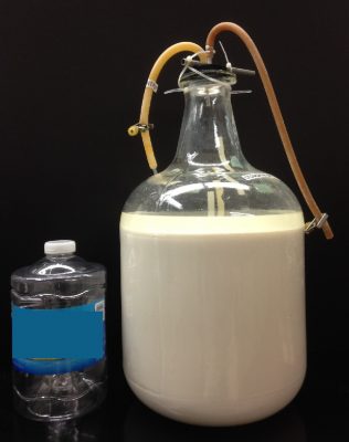 20L of fermentation mixture ready for nanoparticle separation. Photo courtesy of Oak Ridge National Laboratory.